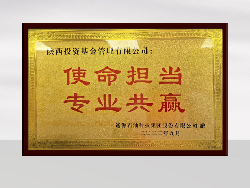 使命担当-专业共赢